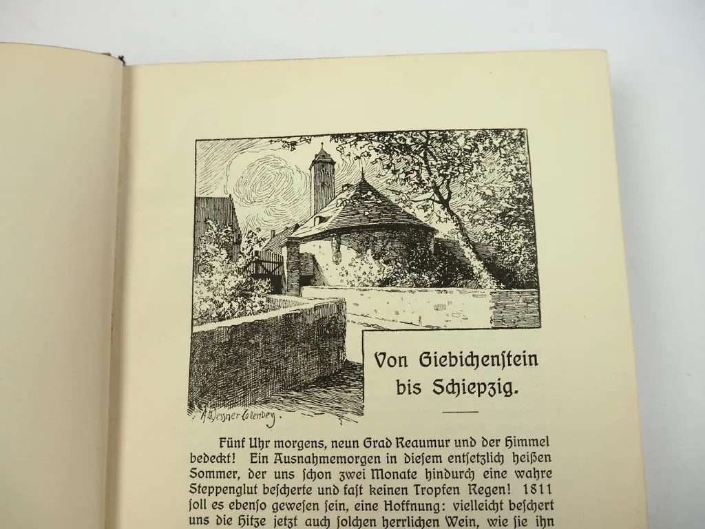 Wanderungen durch den Saalkreis von Dr. Siegmar Schultze 1913 Bd. 1