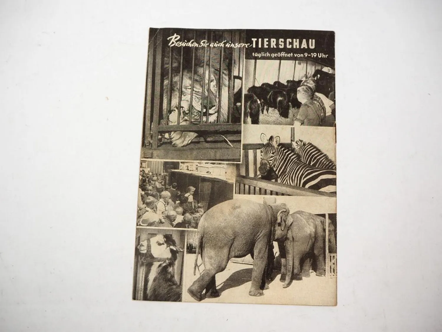 Zirkus Prospekt Spielfolge Circus Busch 1954