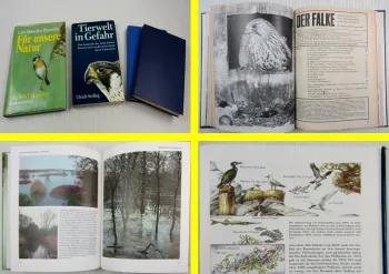 Der Falke 1981/84 Tierwelt in Gefahr Für unsere Natur Ornithologie Naturschutz