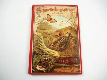 Der Schmetterlingszüchter 1904 von K. G. Lutz Insekten Leben & Zucht Schmetterling