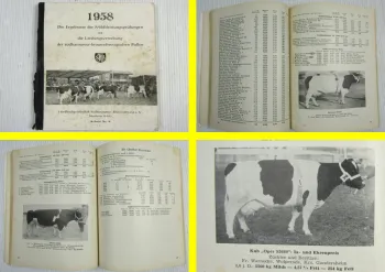 Ergebnisse Milchleistungsprüfungen Leistungsvererbung Bullen Hannover 1958
