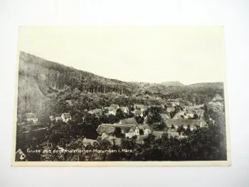 Foto AK Morungen Harz Erholungsheim Waldfrieden Sachsen-Anhalt 1930