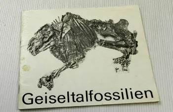 Geiseltalfossilien 1978, G. Krumbiegel