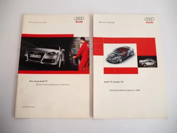 SSP 380 Audi TT 8J Selbststudienprogramm + ServiceProduktInfo 2006